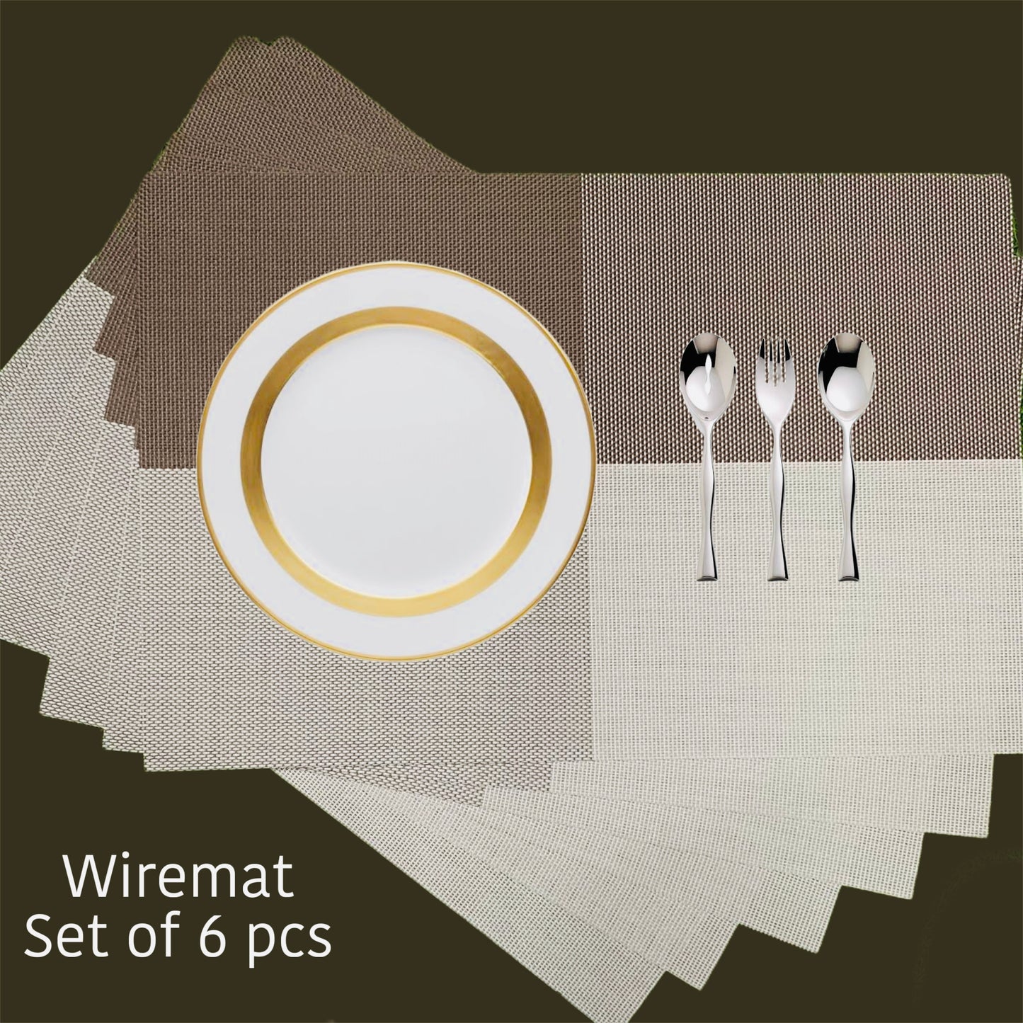 Dining Table Mat (Wire Rectangle)(Reversible) (Set of 6)